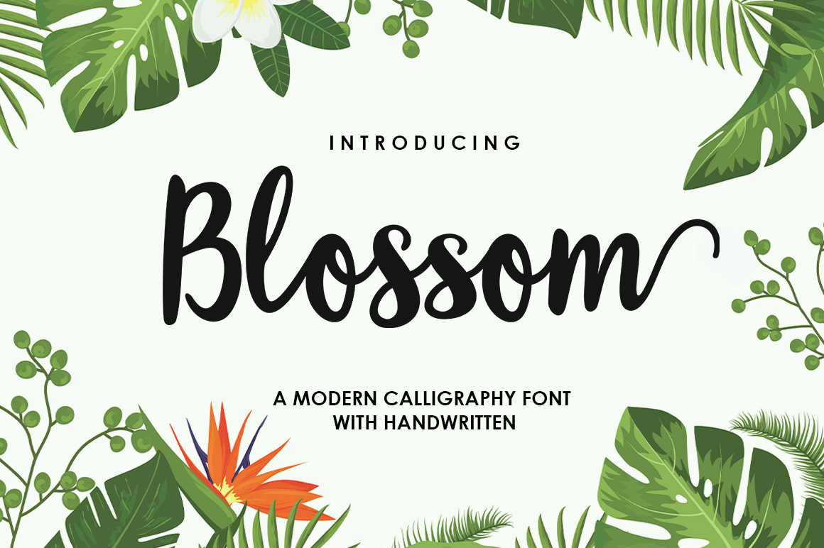 Blossom Script Font: A Designer's Guide to Stunning Swashes