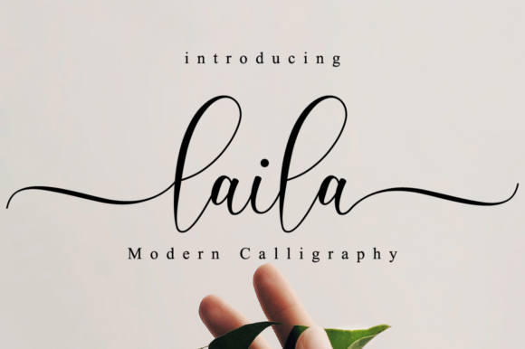 Exploring Laila Script: A Guide for Modern Creatives