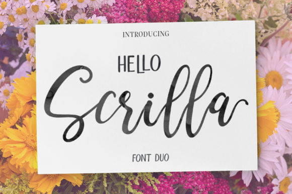 Exploring the Versatility of Hello Scrilla Script Font
