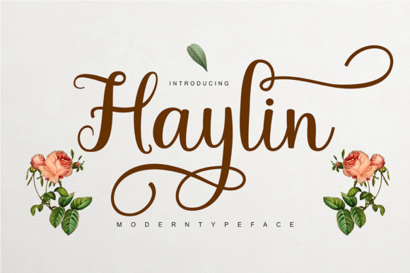 Haylin Script: A Guide to This Elegant Font