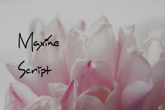 Maxine Script: The Modern Script Font for Elegant Branding