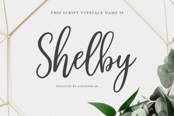 Shelby Script: Blending Classic Charm with Modern Calligraphy