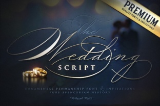 Wedding Script: Crafting Elegance Beyond the Invite